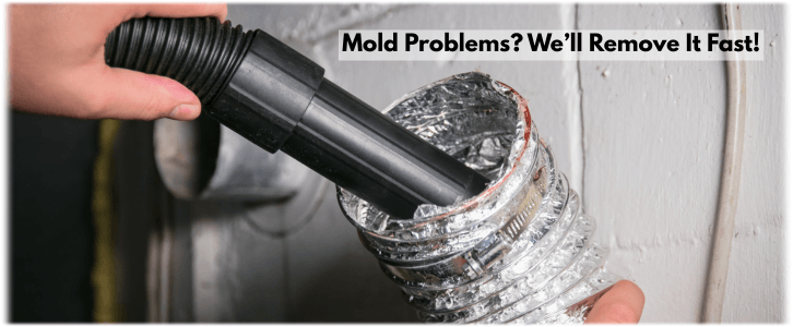 Air Duct Mold Removal LA