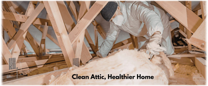Attic Cleaning LA