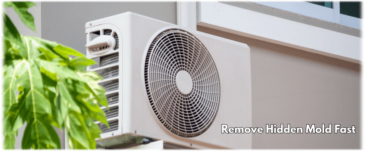 HVAC Mold Removal LA